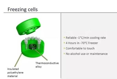 細(xì)胞電子價(jià)格