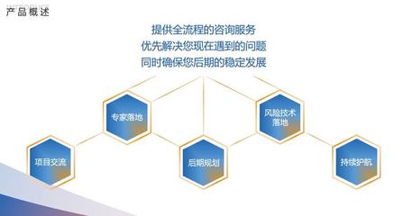 電子稽查建設(shè)
