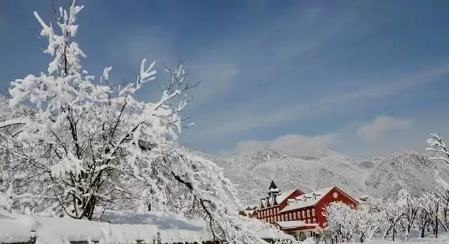 成都西嶺雪山下雪了嗎