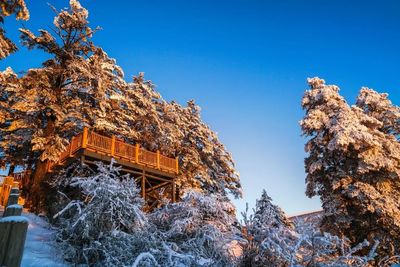 成都西嶺雪山下雪了嗎