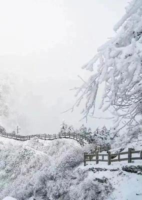 成都西嶺雪山下雪了嗎