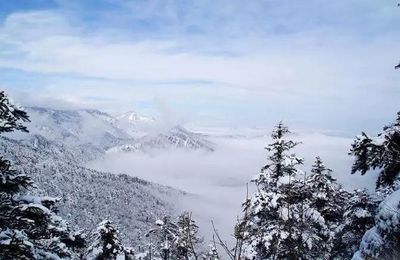 成都西嶺雪山下雪了嗎