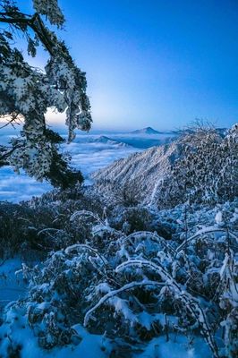 成都西嶺雪山下雪了嗎