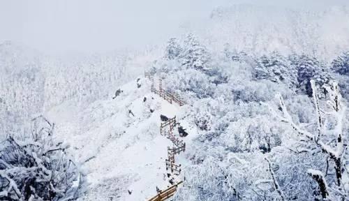 成都西嶺雪山下雪了嗎