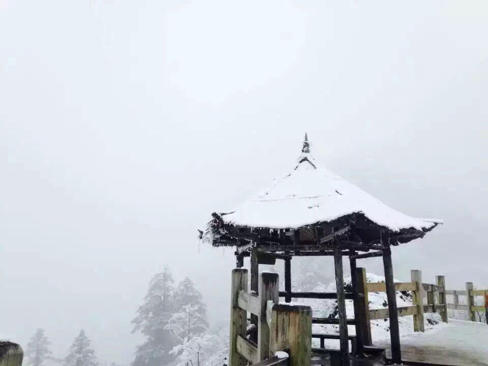 成都西嶺雪山下雪了嗎