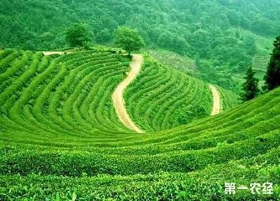 清涼山在哪里