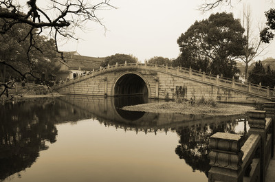 寧波普陀寺在哪里