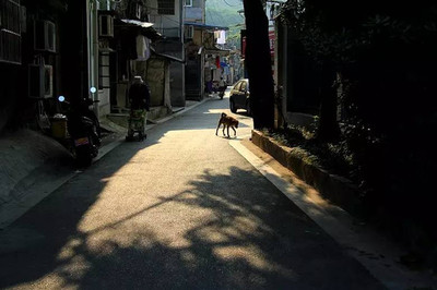 杭州饅頭山