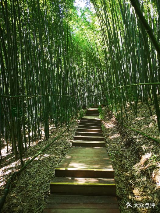 鯨魚溝風(fēng)景區(qū)作文100字 白鹿原上的鯨魚溝