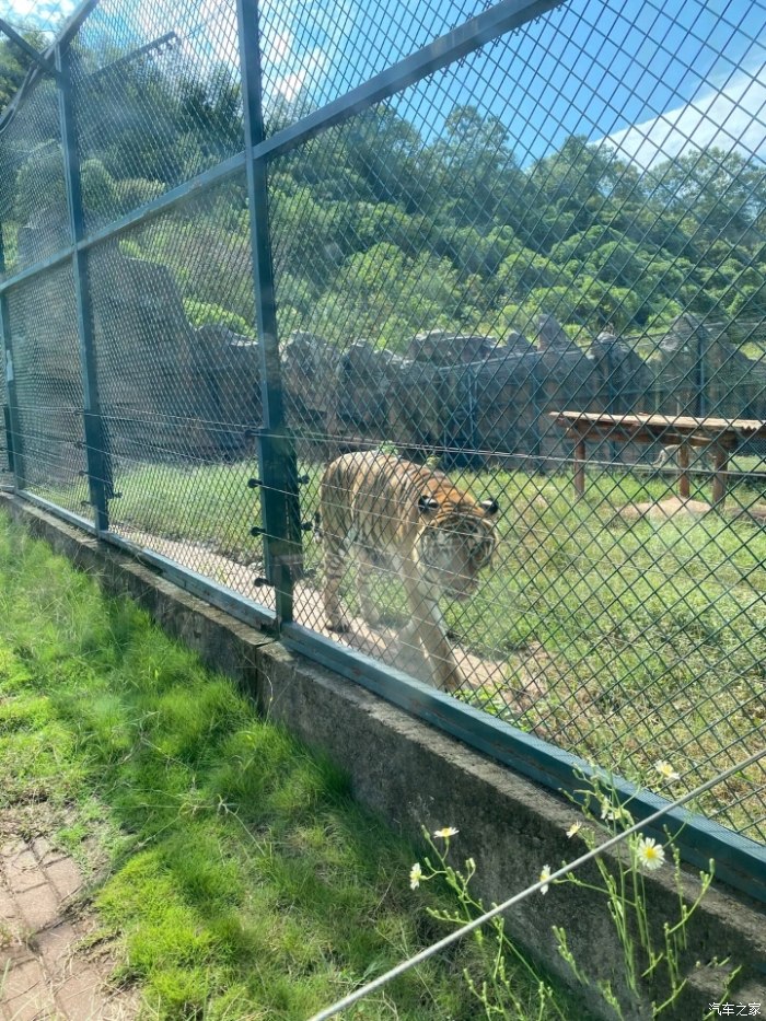 長(zhǎng)沙市生態(tài)動(dòng)物園
