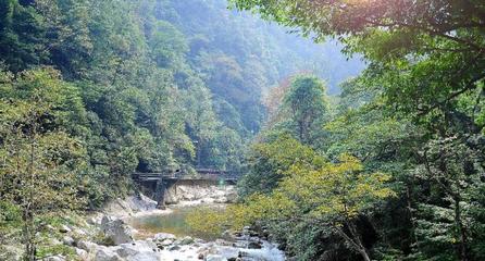 炎陵景點