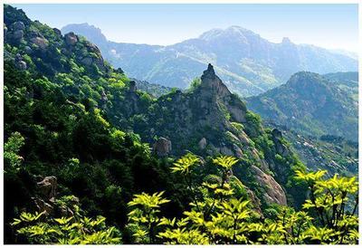 山東旅游景點門票