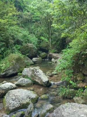自駕青城后山旅游攻略