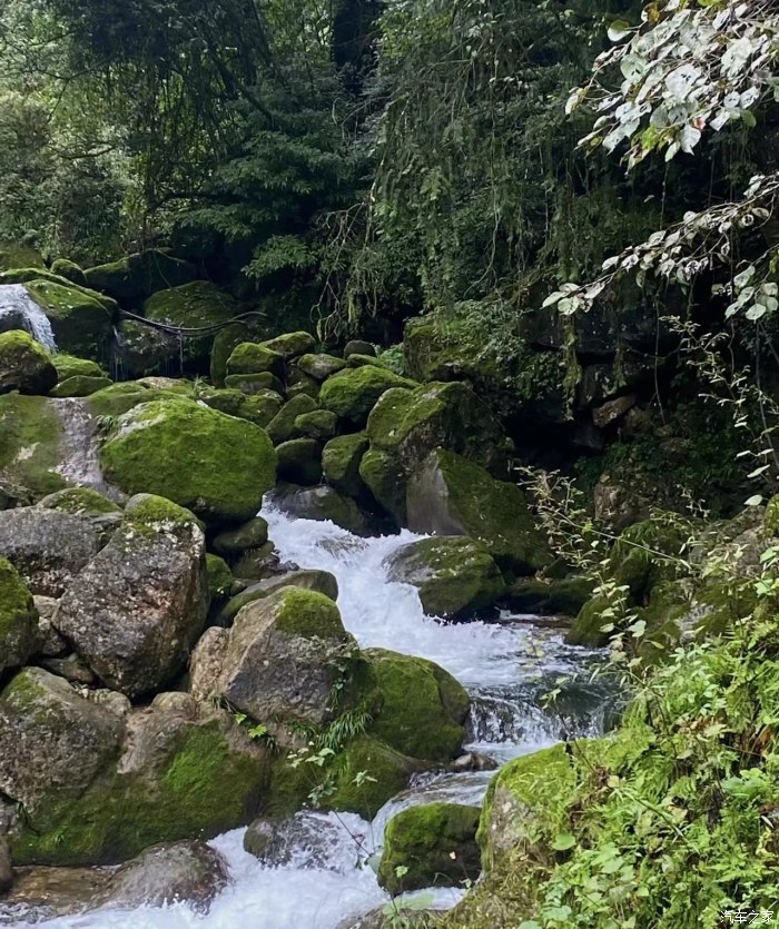 自駕青城后山旅游攻略